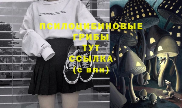 трава Покачи