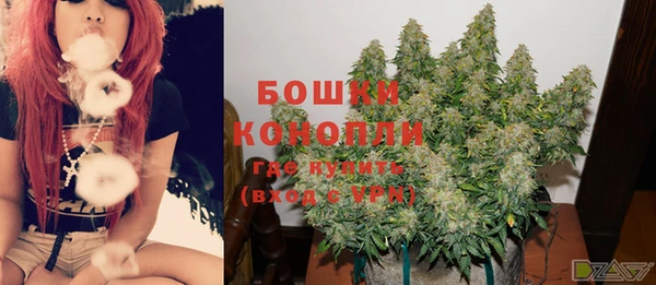мескалин Заводоуковск
