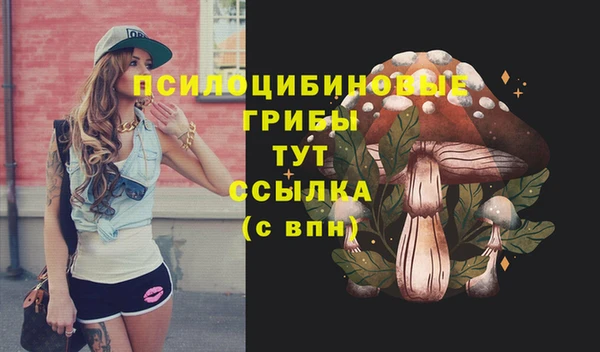 трава Покачи