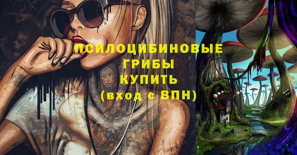 трава Покачи