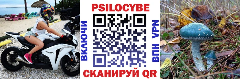 Псилоцибиновые грибы GOLDEN TEACHER  мега ссылки  Хилок 